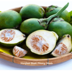 7 Manfaat Buah Pinang Muda untuk Kesehatan