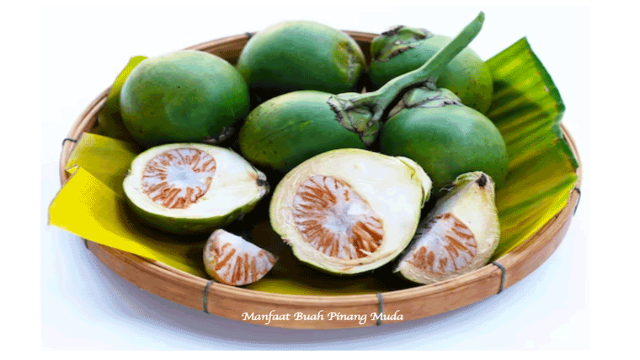 7 Manfaat Buah Pinang Muda untuk Kesehatan